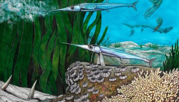  Cientistas brasileiros identificam nova espécie de peixe pré-histórico 